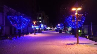 冬はイルミネーションが美しい。