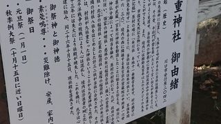 守られた御神木