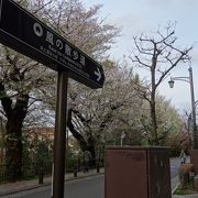 玉川上水沿いの散歩道