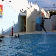 老朽化が目立ちますが、内容は良い水族館です