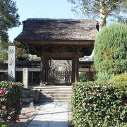 落着いた雰囲気のお寺