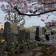 森鴎外 森林太郎 の墓 クチコミ アクセス 営業時間 吉祥寺 三鷹 フォートラベル 森鴎外 森林太郎 の墓 クチコミ アクセス 営業時間 吉祥寺 三鷹 フォートラベル
