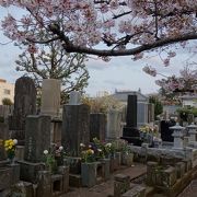 森鴎外 森林太郎 の墓 クチコミ アクセス 営業時間 吉祥寺 三鷹 フォートラベル