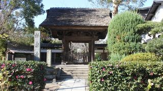 落着いた雰囲気のお寺