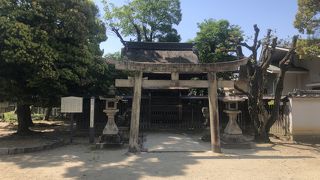 観光寸スポットではないような気がします