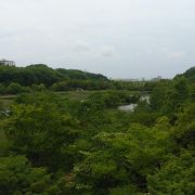 とても広大な芝生が気持ちいい感じ。