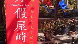 牡丹がきれいな日本庭園