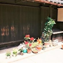 さり気ない草花がおもてなしされてます