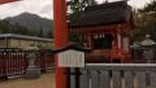 干潮時だったので厳島神社と大鳥居の間を歩いていけた。