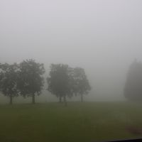 霧でほとんど見えなかった