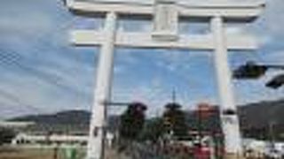 名前のとおり大きいです