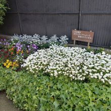地元の方による花壇