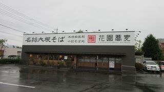 名物の大根蕎麦は細切りの大根がのっていて大変美味、そして薬味はネギと大根おろしが取り放題！