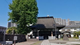 品川の教育の地