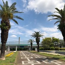 公園の正面入り口から