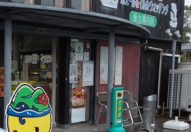 足摺黒潮市場 クチコミ アクセス 営業時間 土佐清水 大月 フォートラベル