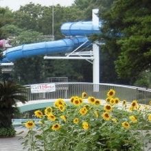 昭和記念公園 レインボープール