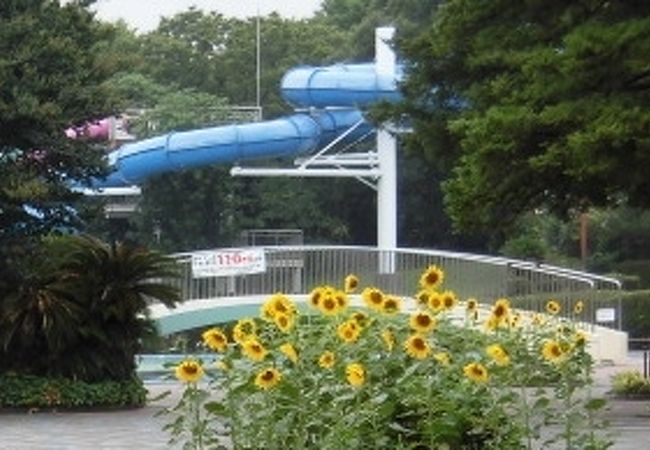 昭和記念公園 レインボープール