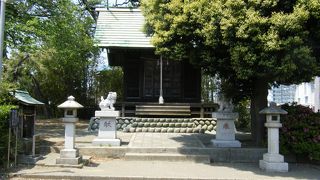 歴史はわかりませんでした