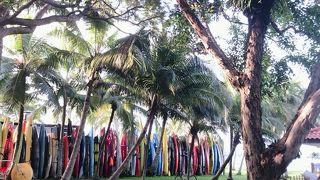 パシール リス パーク