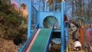 山の斜面を登り降りしながら、たっぷり遊べる