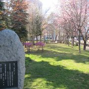 4月末、歌碑周辺の桜がきれい