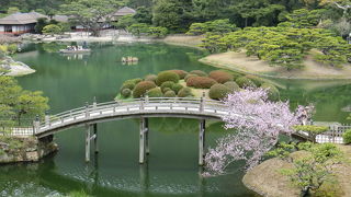 とってもきれい