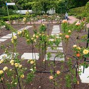 横浜市こども植物園 クチコミ アクセス 営業時間 東神奈川 保土ヶ谷 弘明寺 フォートラベル