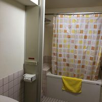 広いけどトイレも一緒で床が水浸し