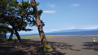 清水と言えばここ