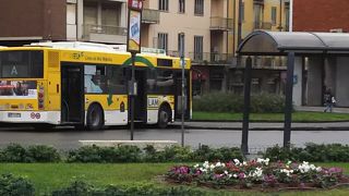 ピサ中央駅に乗り場あります