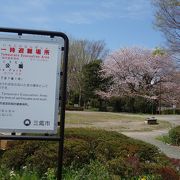 仙川沿いの緑多い公園