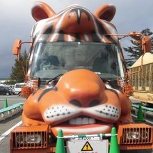 色々なデザインのサファリバスあり