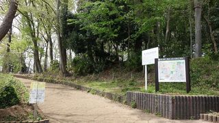 雑木林が広がっていました