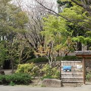 自然メインの公園なのが嬉しい