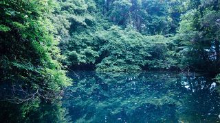 神秘的な青い池