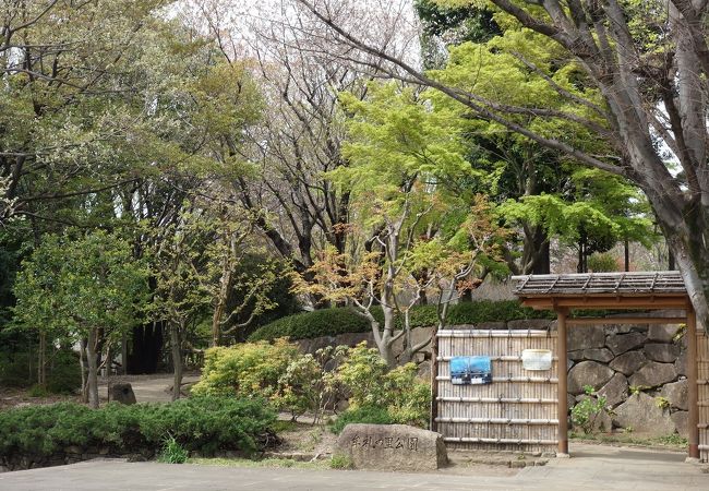 自然メインの公園なのが嬉しい