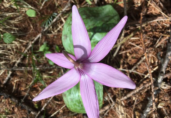 最高の大パノラマビュー