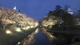 花見をしながらの散歩に最高