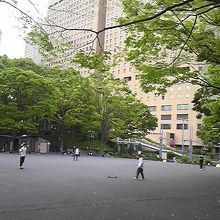 スケートボード By 緑のポスト 新宿中央公園のクチコミ フォートラベル