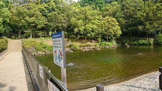 さびしい今年の春公園