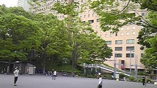 スケートボード