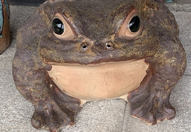 ５月下旬まで 営業自粛らしいです