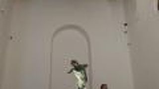 サティロス博物館