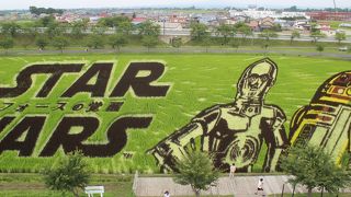 道の駅の近く　電車なら田んぼアート駅が便利