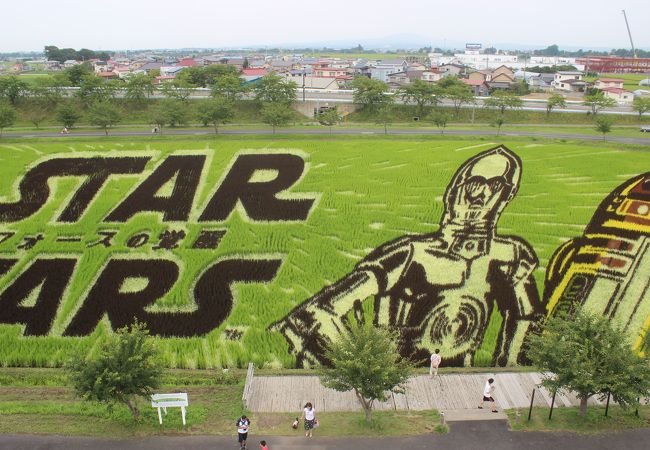 田舎館村 田んぼアート クチコミ アクセス 営業時間 黒石 平川 フォートラベル 田舎館村 田んぼアート クチコミ アクセス 営業時間 黒石 平川 フォートラベル
