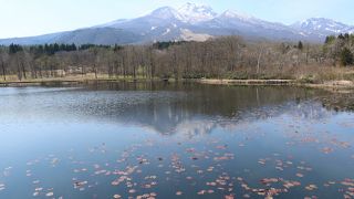 妙高一の景勝地