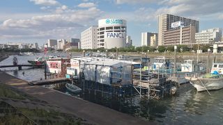 屋形船もここから乗れる