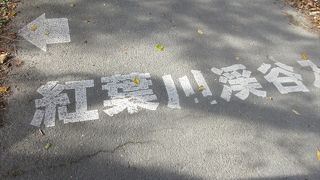 紅葉と滝，清流が一度に味わえます