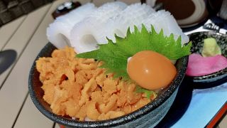 海鮮丼「ウニイクラ丼」最高！テラス席から見る絶景ビュースポット！